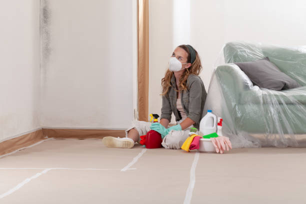 Reliable Commercial Mold Remediation contractor in Mead, CO by Mold Remediation HQ